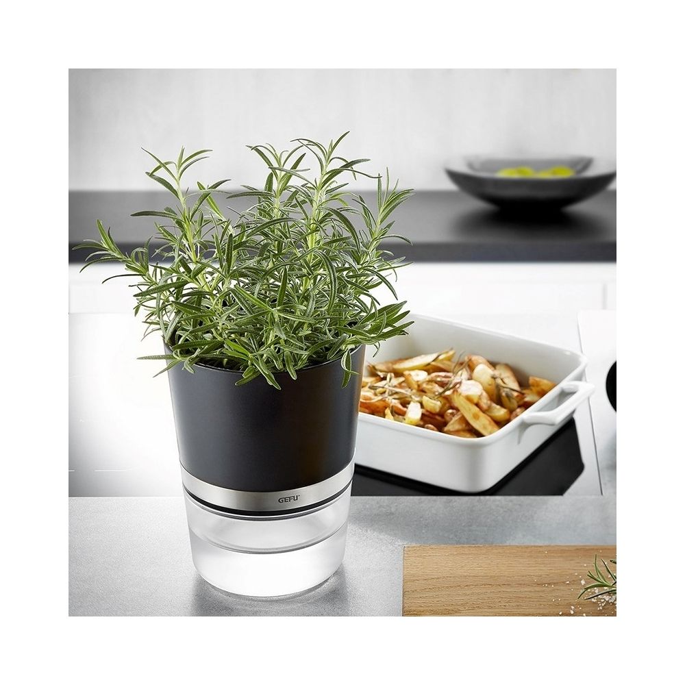 Ένα γλαστράκι με δοχείο νερού και δενδρολίβανο επάνω σε έναν πάγκο κουζίνας